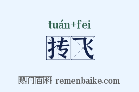 抟飞是什么意思的图片